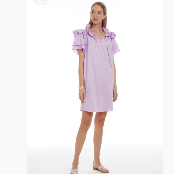 Patty Kim St. Martin Mini Sheath Popover Shirt Dress in Rose Pink SU24-18 Small - Picture 2 of 6